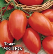 img-1: Томат Челнок - ООО «Семена Тут»