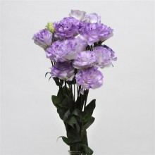 img-2: Эустома АБС Мисти Блю [100 драже] - ООО «Семена Тут»