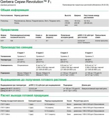 img-1: Гербера Революшн Ред Дарк Ай [100 шт] - ООО «Семена Тут»