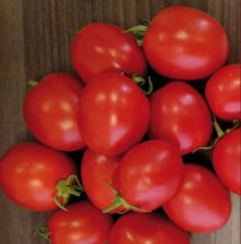 Томат Гюзель F1 - ООО «Семена Тут»