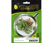 img-1: Капуста белокочанная Амагер МЗ - ООО «Семена Тут»