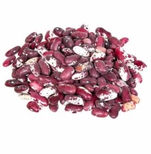 Фасоль овощная Ласточка - ООО «Семена Тут»