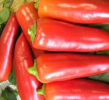 Перец Лидия - ООО «Семена Тут»