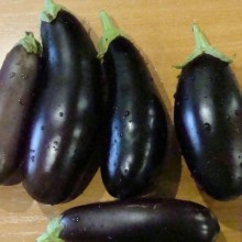 img-1: Баклажан Алмаз - ООО «Семена Тут»