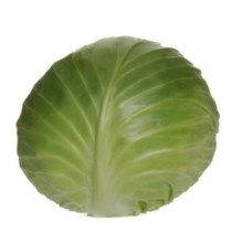 Капуста белокочанная Монро F1 - ООО «Семена Тут»