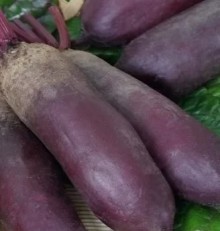 Свекла столовая Нежность - ООО «Семена Тут»