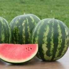 img-1: Арбуз Ница - ООО «Семена Тут»