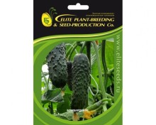 img-2: Огурец Бомбардир F1 - ООО «Семена Тут»