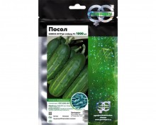 img-1: Огурец Посол F1 - ООО «Семена Тут»