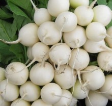 Редис Пёрл F1* - ООО «Семена Тут»