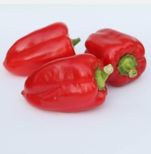Перец Рапидо F1 - ООО «Семена Тут»