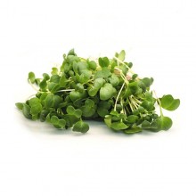 Редька черная Карбон МЗ - ООО «Семена Тут»