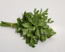 img-2: Сельдерей Потенциал листовой - ООО «Семена Тут»