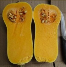 Тыква Сибель F1 - ООО «Семена Тут»