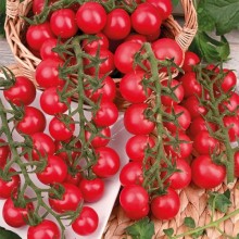 Томат Сладкая встреча - ООО «Семена Тут»