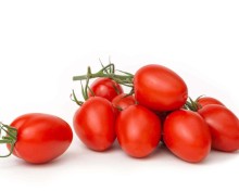 Томат Универсал F1 - ООО «Семена Тут»