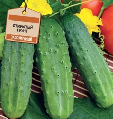 img-1: Огурец Закусочный - ООО «Семена Тут»