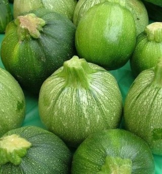 img-0: Кабачок Тинторетто - ООО «Семена Тут»