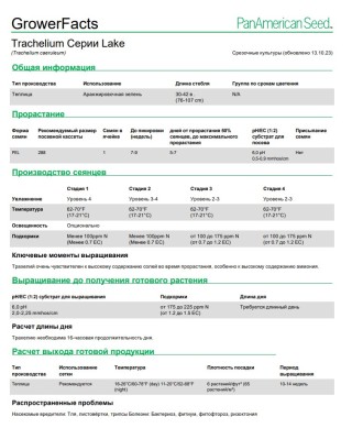 img-1: Трахелиум Лейк Мичиган Пурпл [1000 драже] - ООО «Семена Тут»