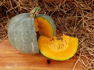 img-1: Тыква крупноплодная Амбар - ООО «Семена Тут»