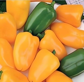 Перец сладкий Золотой букет - ООО «Семена Тут»